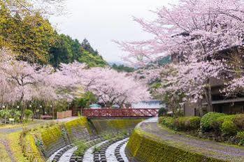 Nagaizumi Sansou Otel Gotemba Dış mekan fotoğraf